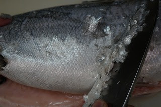 鮭の捌き方 ウロコ取り方は三種類 それぞれ板前解説 鮭の三枚卸しも解説 和食のわ