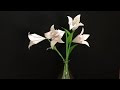 【人気ダウンロード！】 ゆり 花束 167876-ユリ 花束