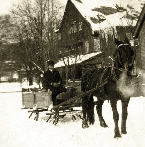 Grampa's Horse