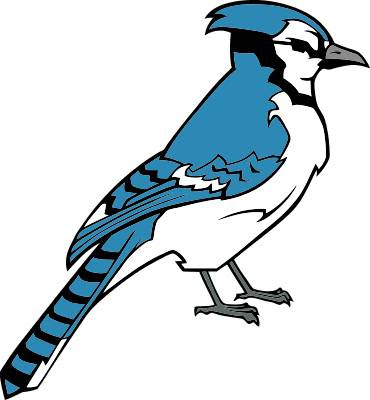 Free Blue Jay Clipart Download Free Blue Jay Clipart Png Images Free Cliparts On Clipart Library