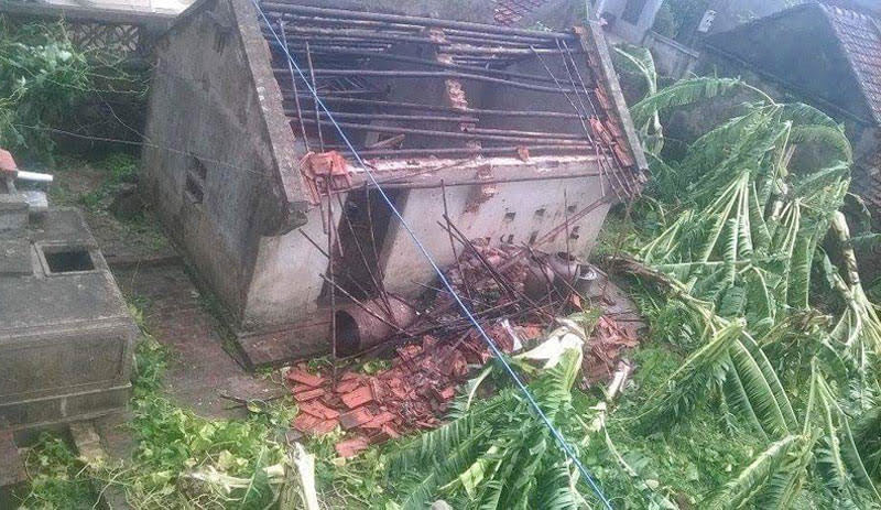 bão số 1, tin bão số 1 mới nhất, thiệt hại bão số 1, dự báo bão