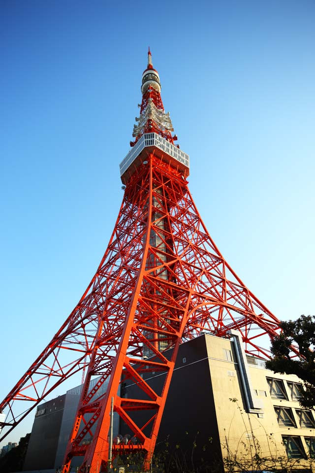 ゆんフリー写真素材集 No 7349 東京タワー 日本 東京