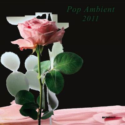tw6Ft VA – Pop Ambient 2011 – 2011 – WHOA