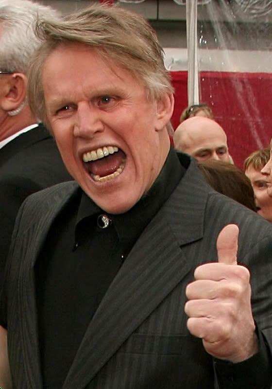 Gary Busey desktop
