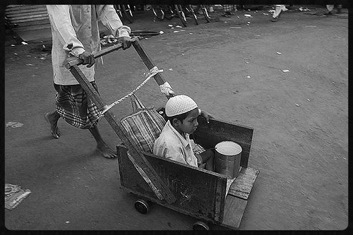 With Bakra Eid Round The Corner Millions Will Be Spent On Goats by firoze shakir photographerno1