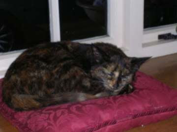 Image hosted by Photobucket.com