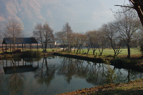 The Apple Orchard