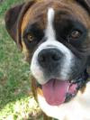 My Princess Tasha-Renee
