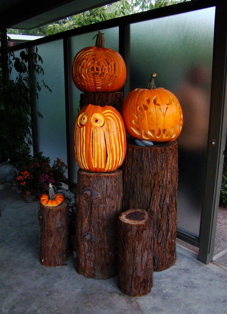 DSC02936 Bird Pumpkins