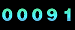 web counter