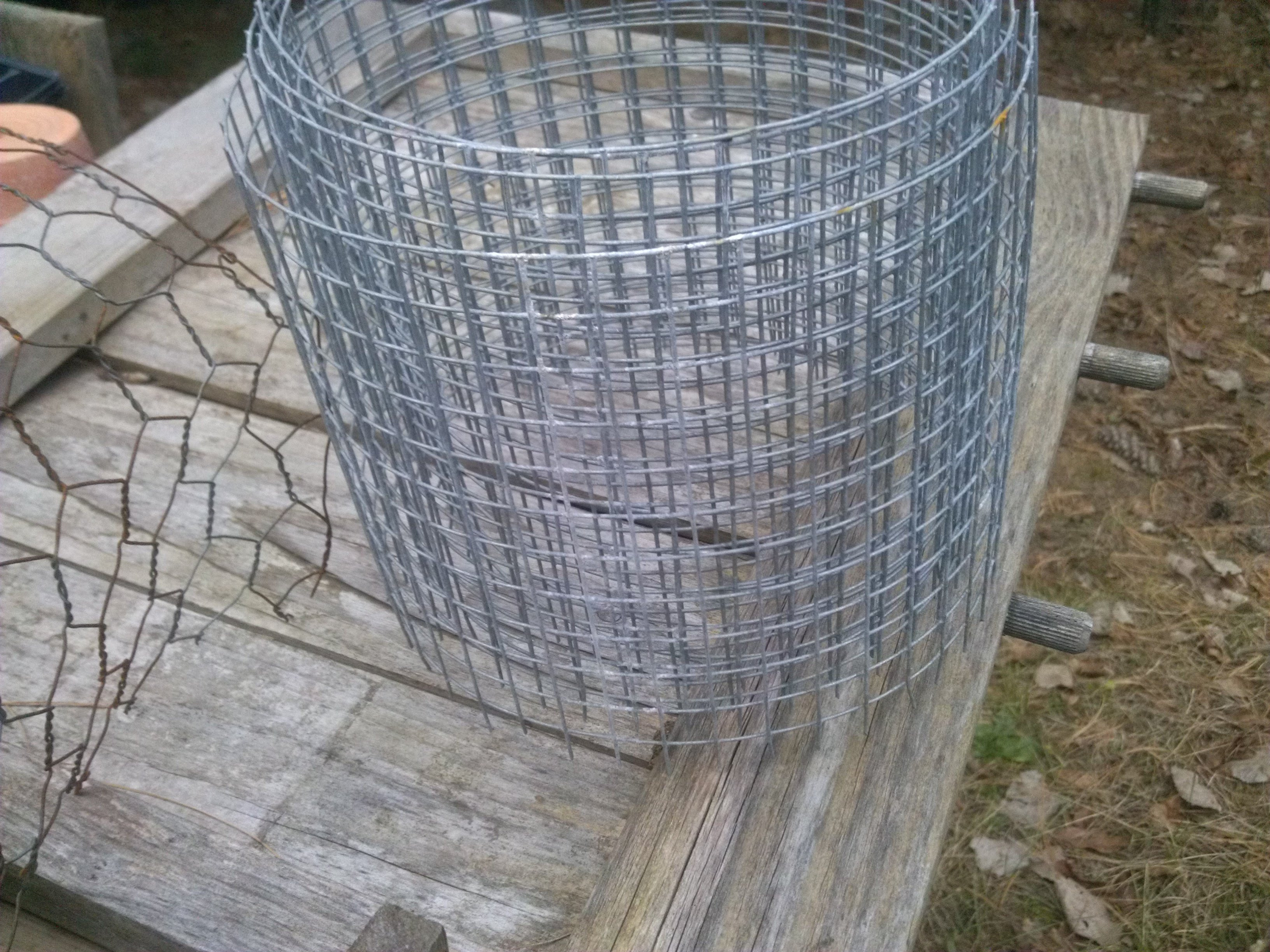 Chicken wire on left, hardware cloth on right.  hardware cloth tree protection