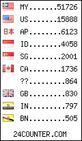 visitors by country counter