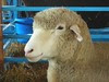 baa8