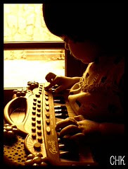 glückwünsche zum geburtstag pferd