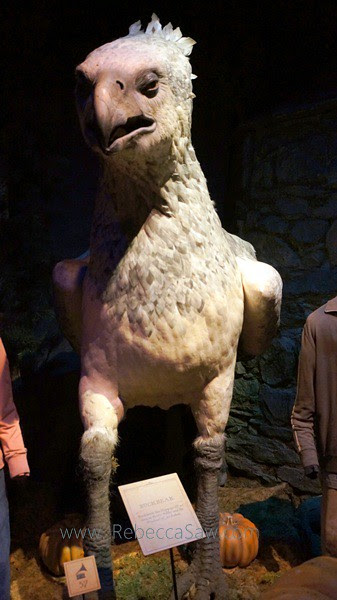 HARRY POTTER THE EXHIBITION - ArtScience Museum, Singapore-005