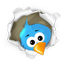 Follow Us On Twitter