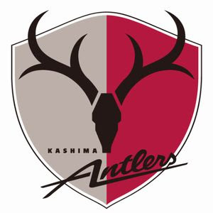 Jリーグ22 鹿島アントラーズの試合日程とtv放送中継予定 無料は ネットで便利ドットコム