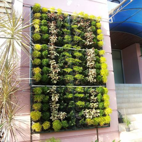 Fumida Garden Taman Vertikal Fumida Garden Taman Vertikal