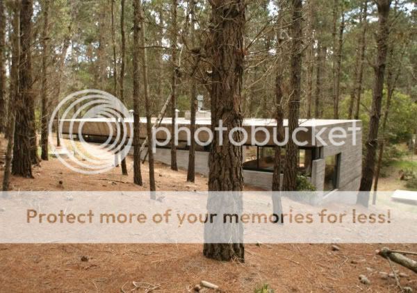 Rustic Style House Deep in the Forest Argentina