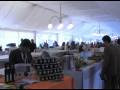 Wine Festival 08