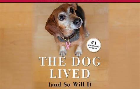 Reading Pdf The Dog Lived And So Will I Free PDF PDF