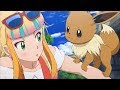ポケモン カブトムシみたい 994901