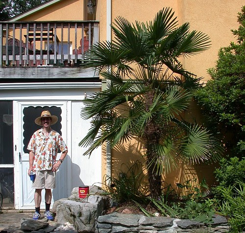 Dan and windmill palm (cropped)