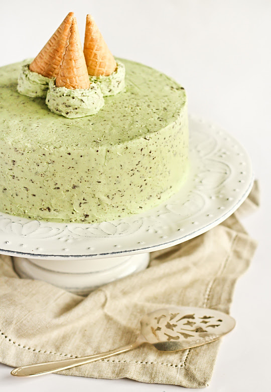 mint_choc_chip_cake-7