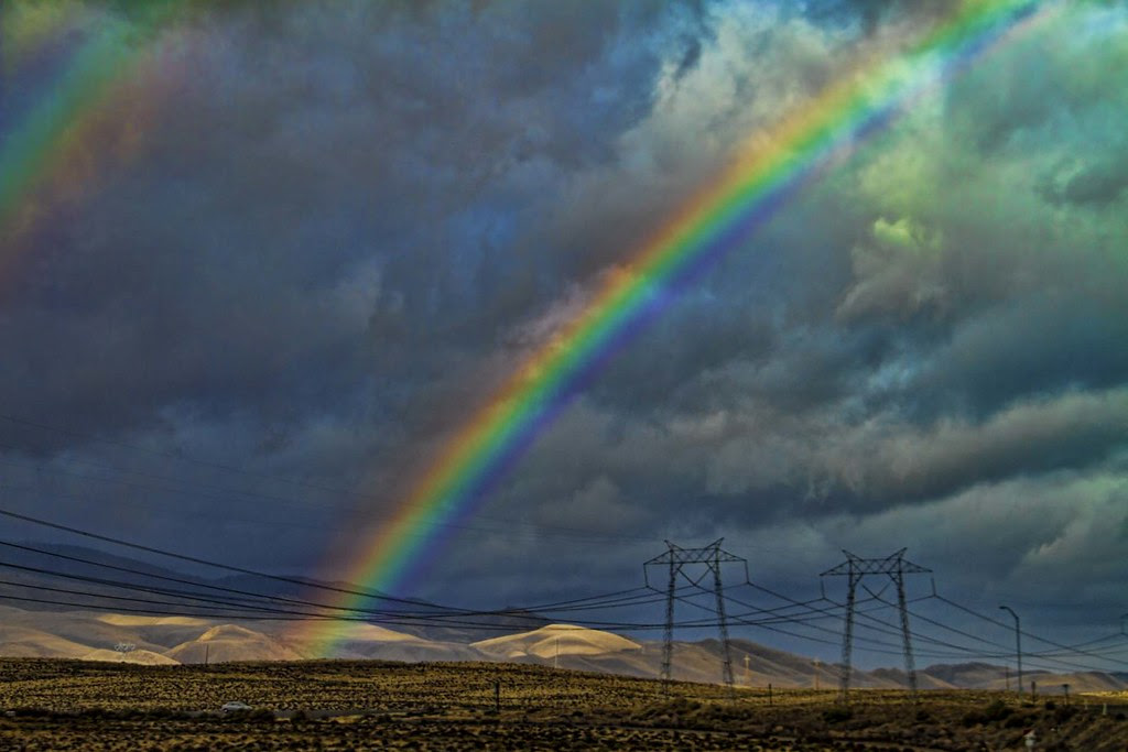 IMG_9778 as Smart Object-1