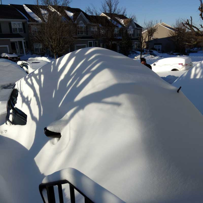 Snowed In
