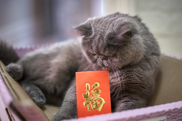 Happy New Year!