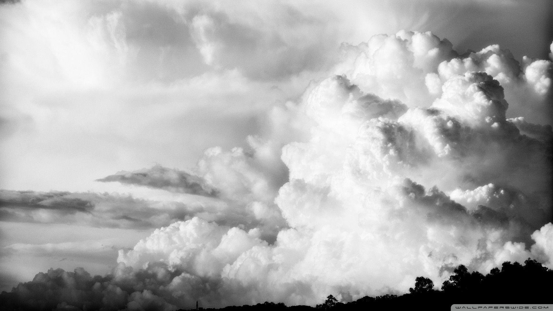 Black And White Nature Wallpapers Wallpaper Cave Black And White Nature Wallpapers Wallpaper Cave