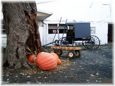 Amish farm scene