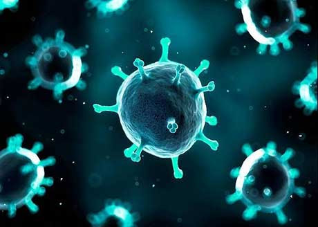 I virus che cadono dal cielo