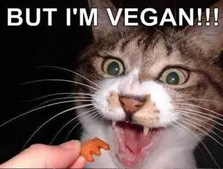 Ever feel like this?