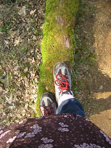 Walking on a spring log