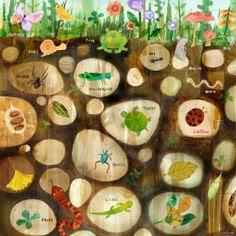 Free Underground Animals Cliparts Download Free Clip Art Free Clip Art On Clipart Library