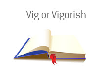 Vig or Vigorish Definition - What Does Vig or Vigorish Mean?