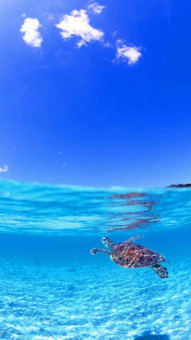 100以上 おしゃれ 壁紙 Iphone 海 ちょうどディズニーの写真