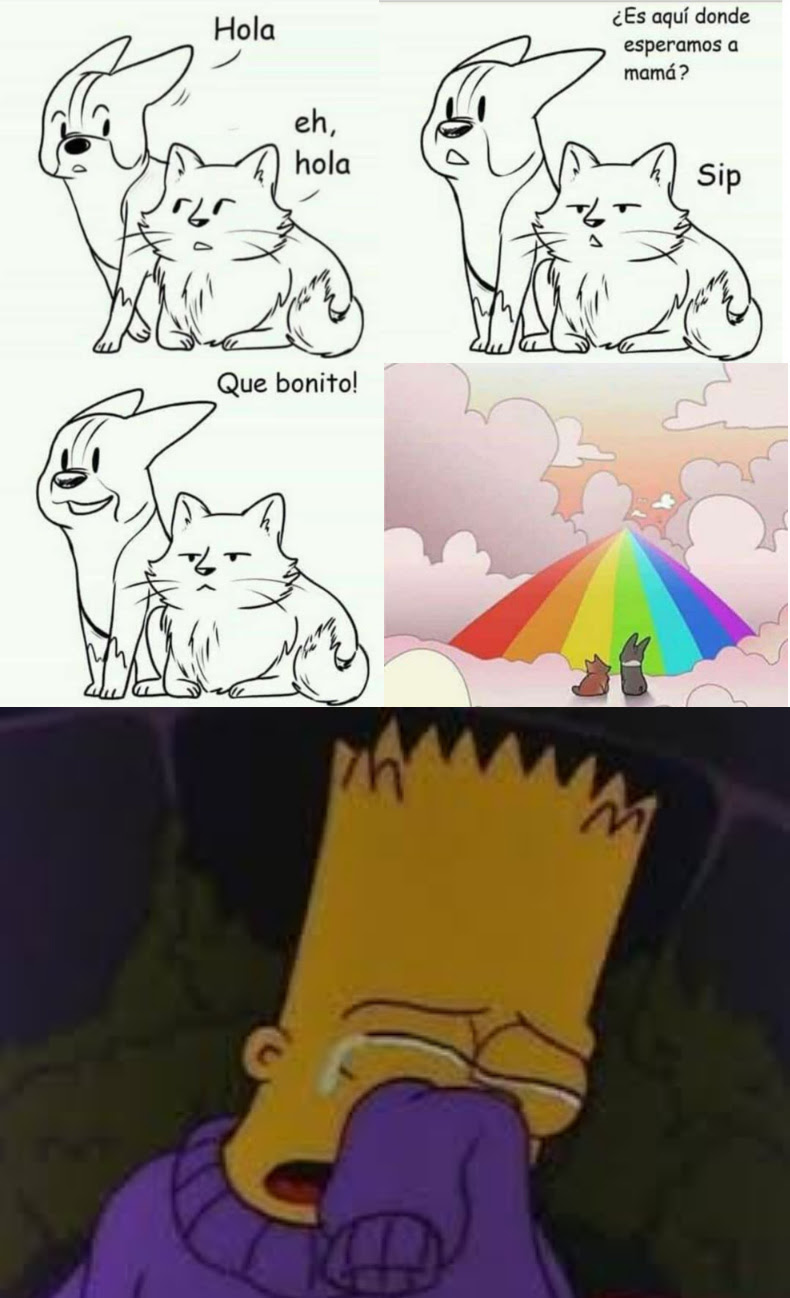 Vi la imagen y recordé a mi perrita Juanita que murió por causa que no se y  yo la consideraba como hija, literalmente. - Meme by AnotherPendejo :)  Memedroid