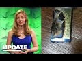 How To Easily Root An Android Device - CNET