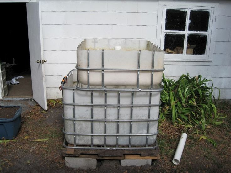 Aquaponic system built from IBC tote.  Aquaponics  Pinterest