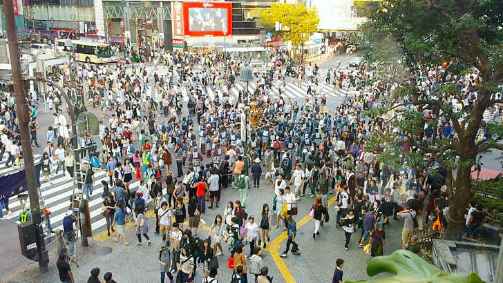 アドラー心理学 認知論 は その人の世界 は 意識 した情報が全てという話 ビジネスコミュニケーション最適化ブログ