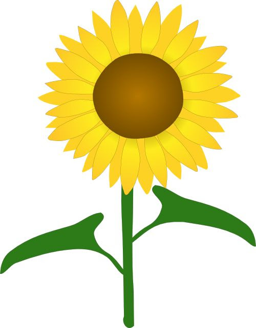 Download sunflower | Free SVG & WPC Cut Files And Fonts | Pinterest