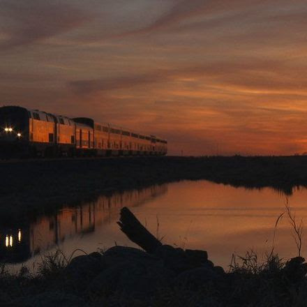 The Best and Worst Documentaries of the 2015 Tribeca Film Festival