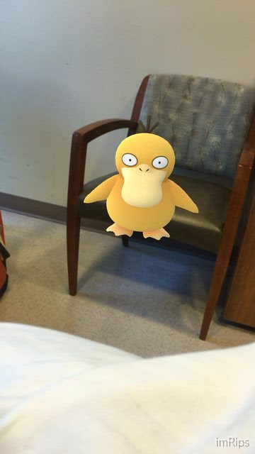 A picture of a psyduck