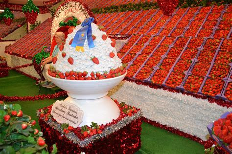 Plant snacks salt & vinegar cassava root chips grain free, 5oz (pack of 12. 13 Most Famous Florida Foods