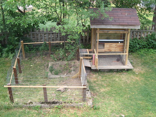 chicken coop inside. Aerial View of Chicken Coop