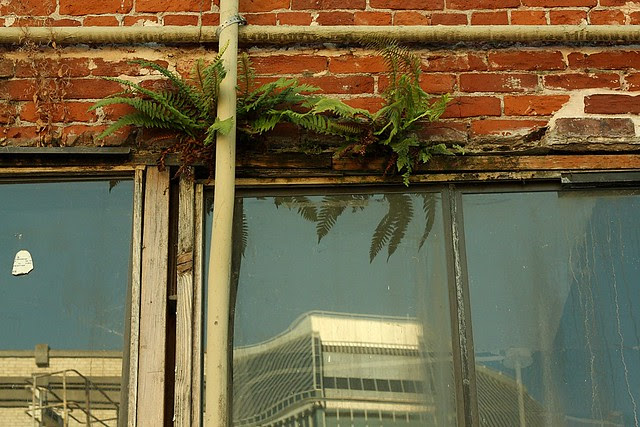 storefront, old town