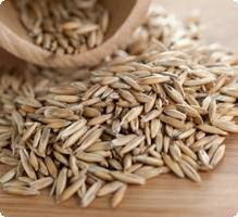 Le seigle contient il du gluten